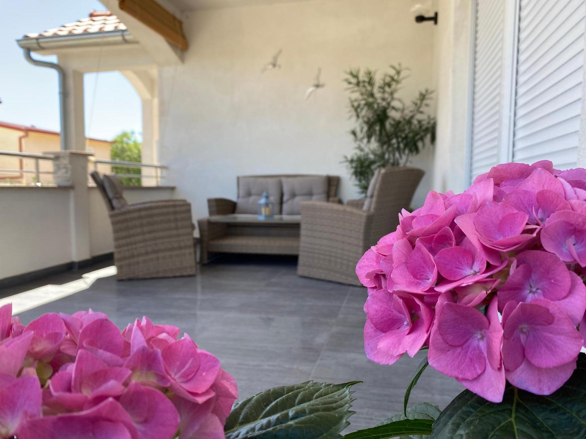 Apartment Tina روغوزنيكا المظهر الخارجي الصورة