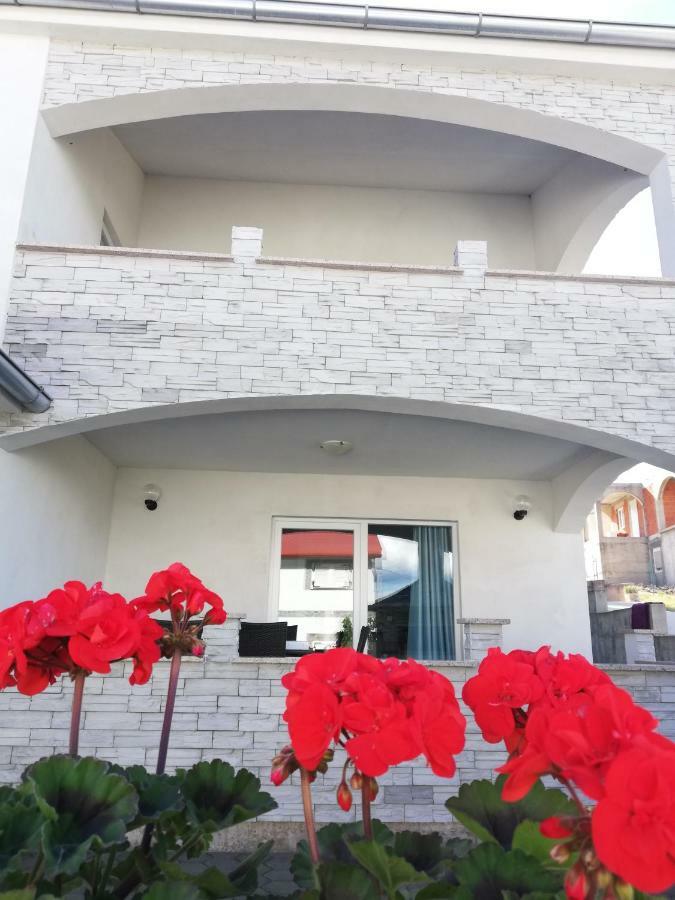 Apartment Tina روغوزنيكا المظهر الخارجي الصورة